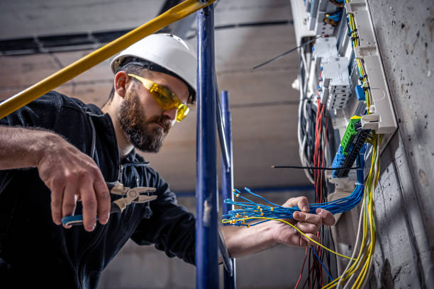 Best Generator Installation Services  in Carrizo Hill, TX