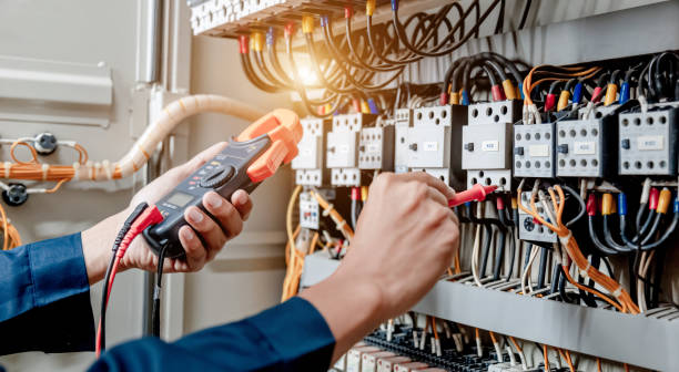 Best Electrical Repair Services  in Carrizo Hill, TX