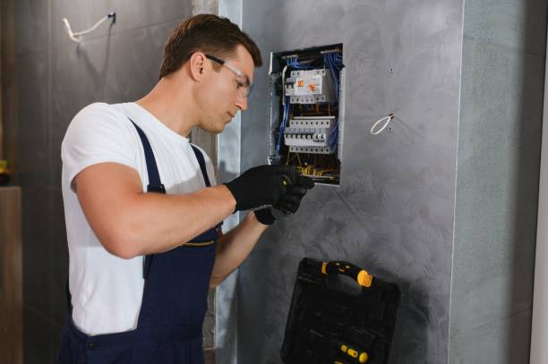 Best Electrical System Inspection  in Carrizo Hill, TX