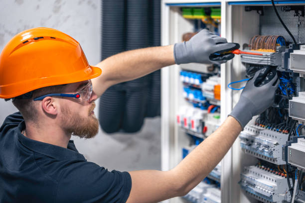 Best Affordable Electrician  in Carrizo Hill, TX