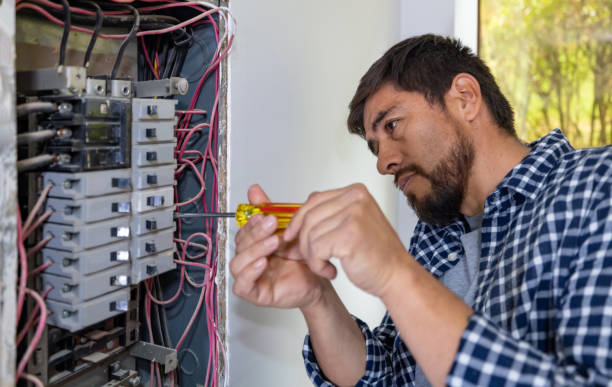 Best Electrical Rewiring Services  in Carrizo Hill, TX